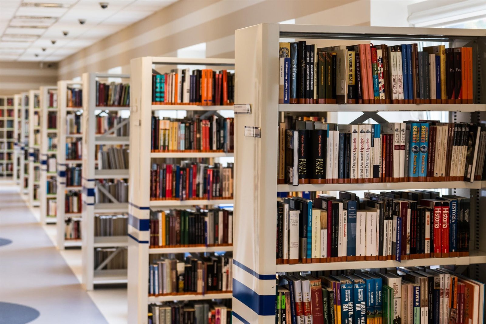 Funciones de la biblioteca escolar