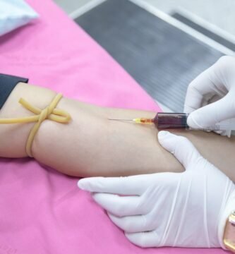 Sistema circulatorio o de transporte