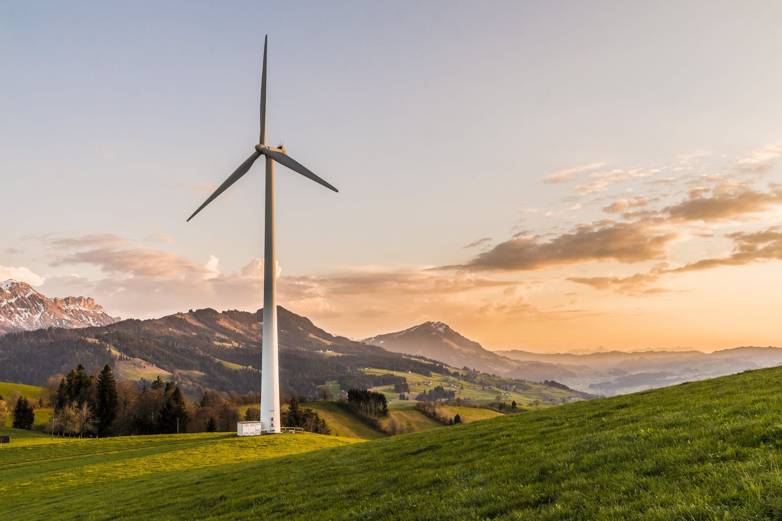 Organizaciones, gestión ambiental e innovación