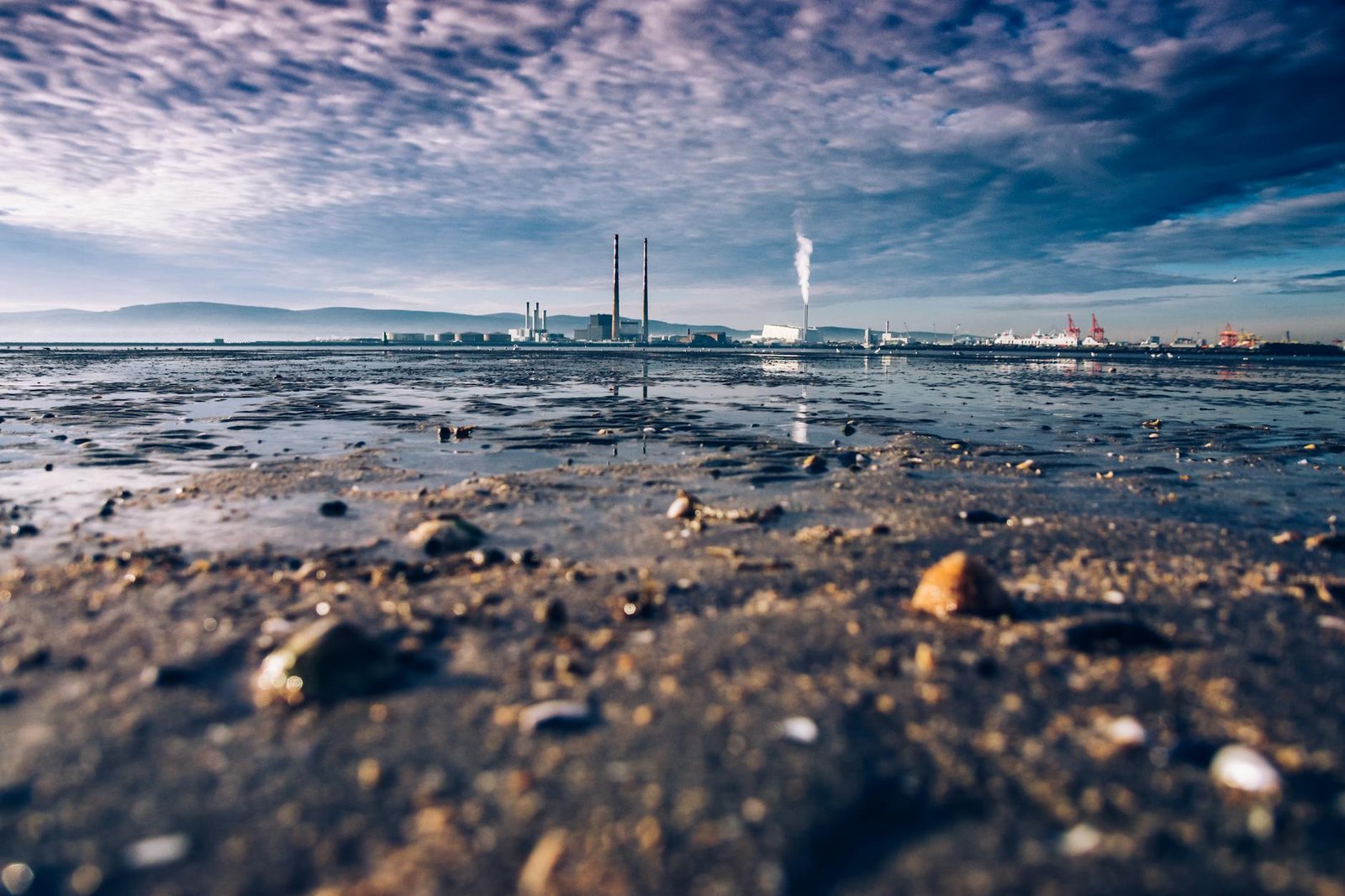 Contaminación del entorno