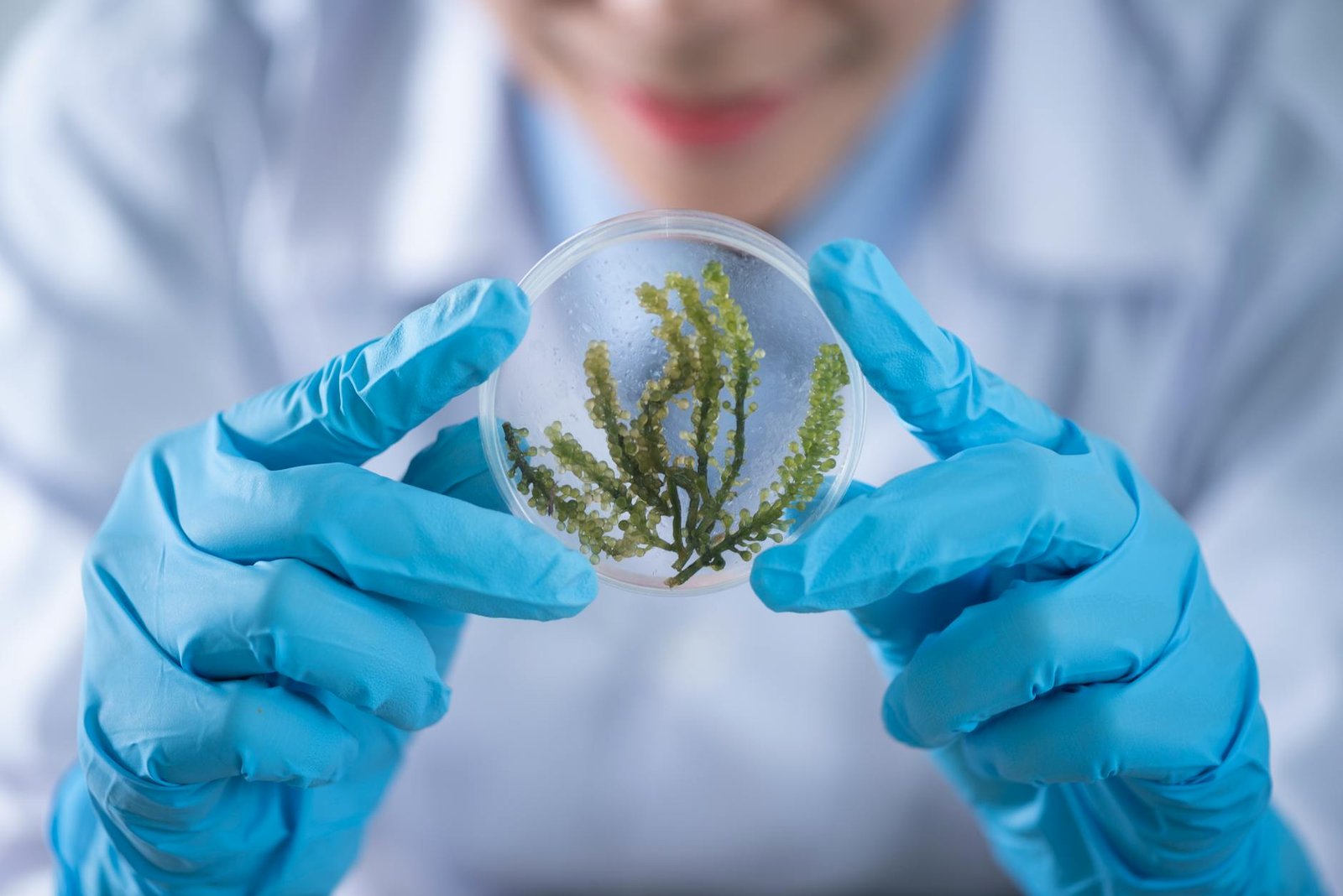 Biotecnología y edición genética: CRISPR y el futuro de la medicina