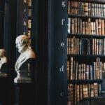 Ramas del derecho